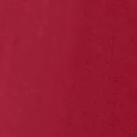 NCAA Alabama Crimson Tide Short Sleeve Graphic T-Shirt