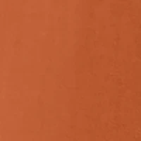 NCAA Texas Longhorns Short Sleeve Graphic T-Shirt