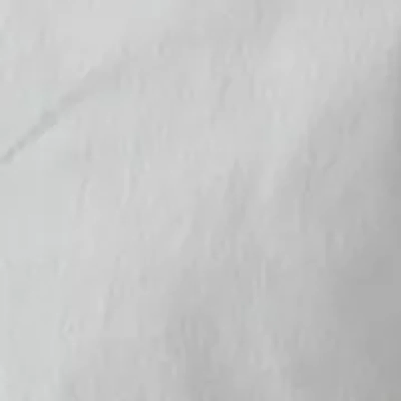 Men's Icon Walkshort 19" Shorts