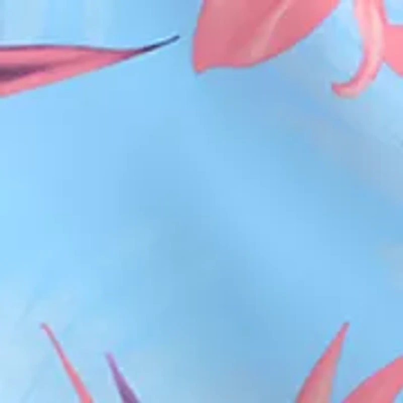 Men's Toucans Volley Swim Shorts