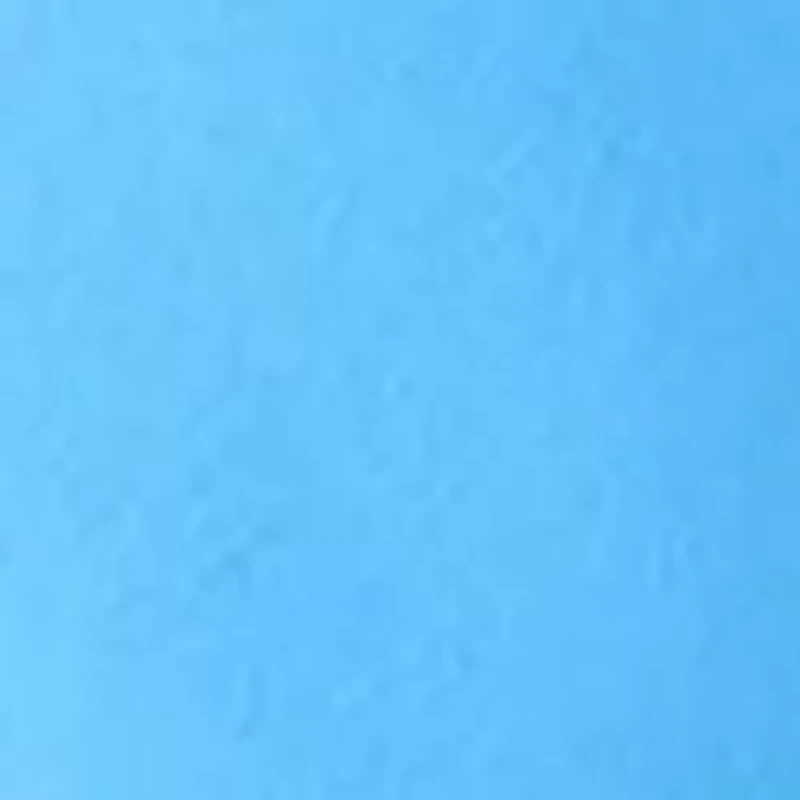 One and Only Boardshorts