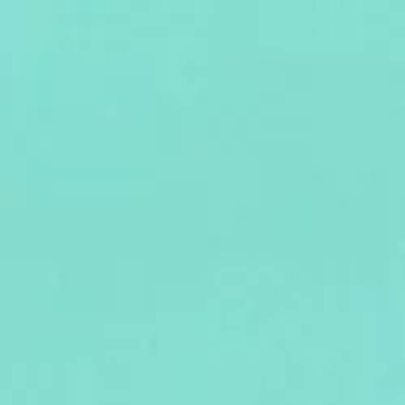 One and Only Solid Volley Swim Trunks