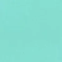 One and Only Solid Volley Swim Trunks