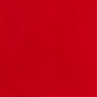 Dog Dad Pajama T-Shirt