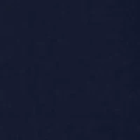 Big & Tall NCAA Virginia Cavaliers Traverse Half Zip Pullover