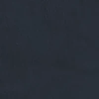 NCAA Auburn Tigers Retro Poster and Stadium Graphic T-Shirt