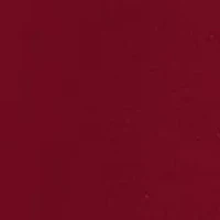 NCAA Alabama Crimson Tide Fight Song T-Shirt