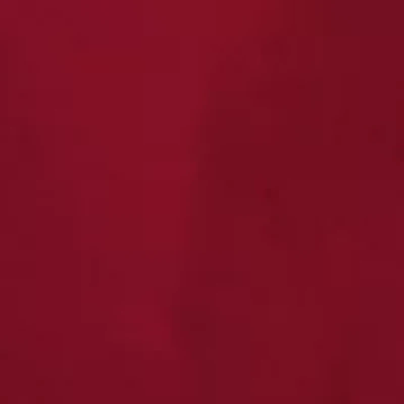 NCAA Arkansas Razorbacks School Pride Hooded Sweatshirt