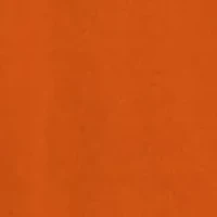 NCAA Auburn Tigers Basic Retro Football T-Shirt