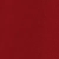 NCAA Texas Tech Red Raiders Fight Song State Overlay Short Sleeve T-Shirt