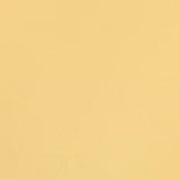 Long Sleeve Thermal Henley Shirt