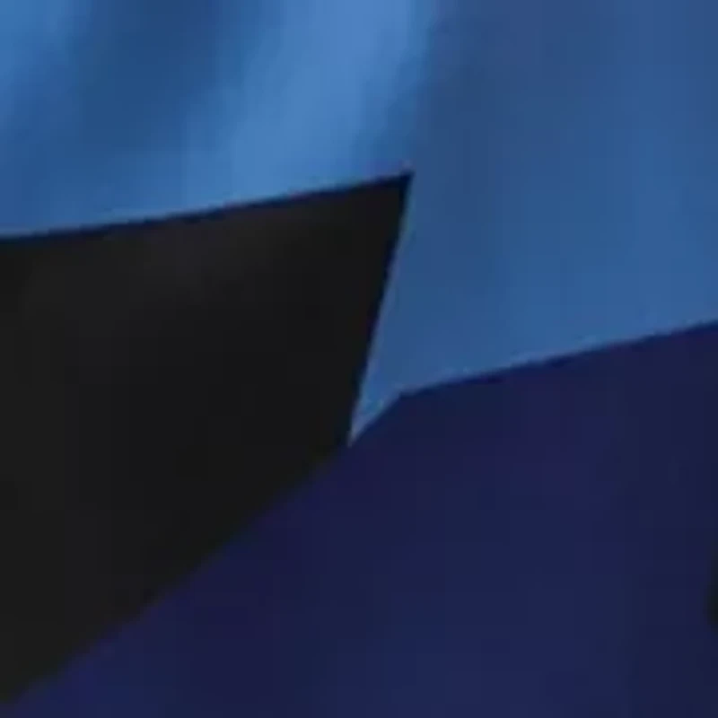 Geometric Camo Ventilation Shorts