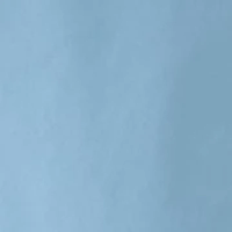 Woven Ventilation Shorts