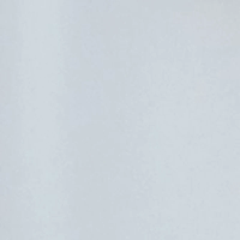 Big & Tall Polyester Shorts