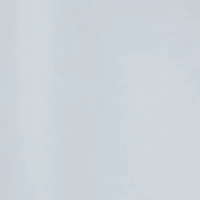 Big & Tall Polyester Shorts