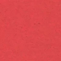 Men's Logo Crew Neck Sweatshirt