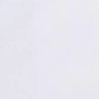 8" Flat Front Shorts