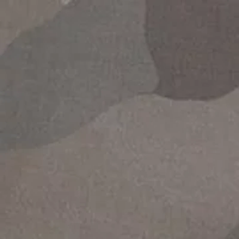 Men's Poplin Cargo Shorts