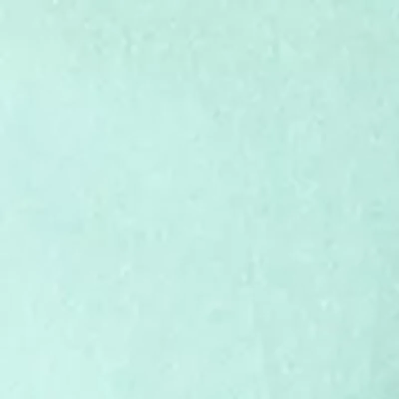 Men's Short Sleeve Oxford Shirt