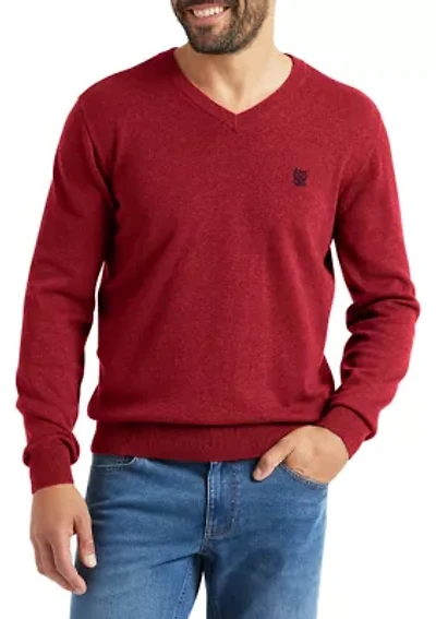 Big & Tall Jersey V-Neck Sweater