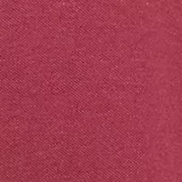 Big & Tall Everyday Fall Polo Shirt