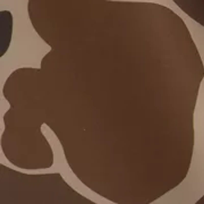 Men's Lake Shore Dock Shorts