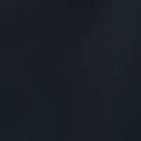 Men's Lake Shore Dock Shorts