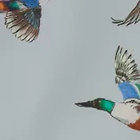 Men's Lake Shore Dock Shorts