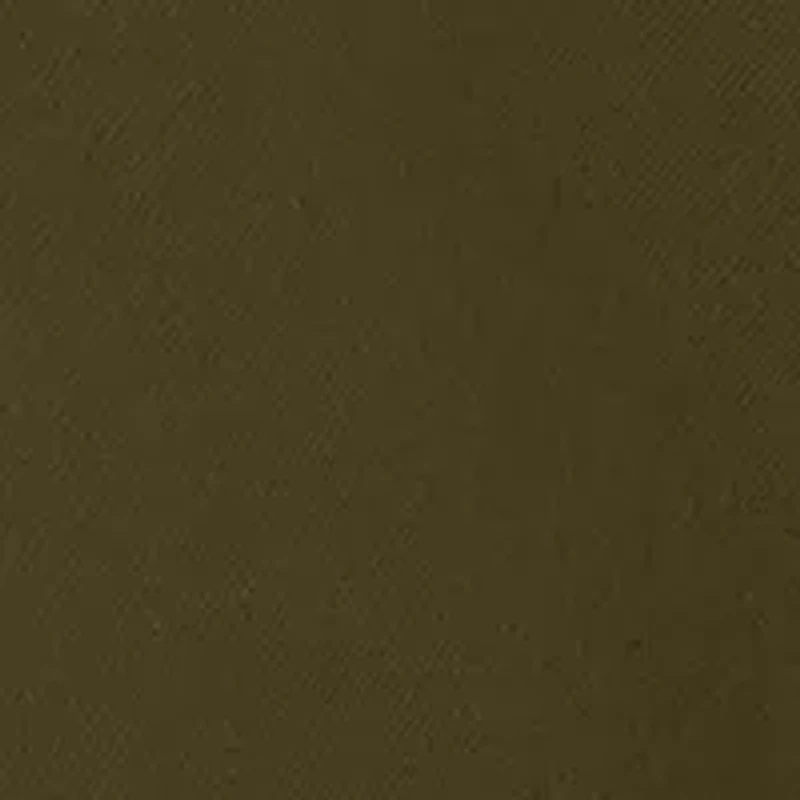 Autumn Brushed Twill Long Solid Sleeve Shirt