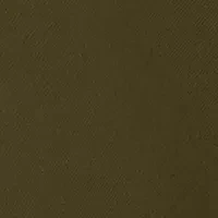 Autumn Brushed Twill Long Solid Sleeve Shirt