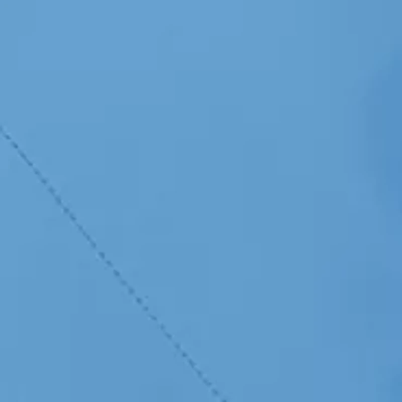 Men's Big Wingshooter Trey Button Down Short Sleeve Shirt