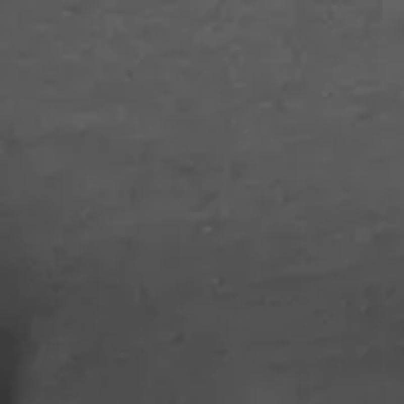 The Drake Life Long Sleeve Graphic Hoodie T-Shirt