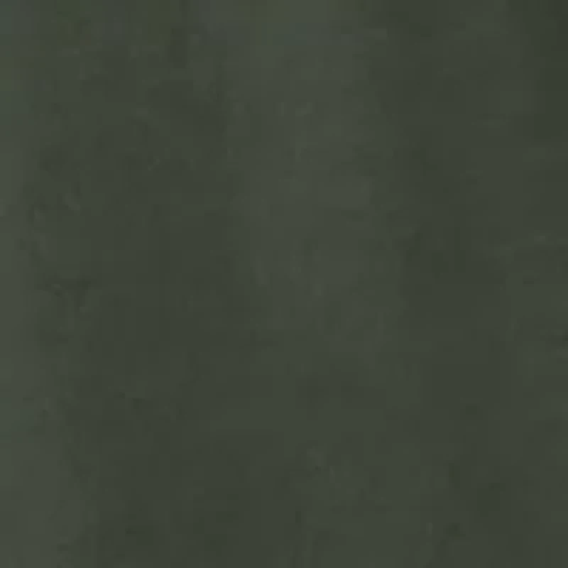 Men's Circle Mallard Long Sleeve Graphic T-Shirt