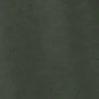 Men's Circle Mallard Long Sleeve Graphic T-Shirt