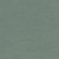 Men's Mallard Circle Graphic T-Shirt