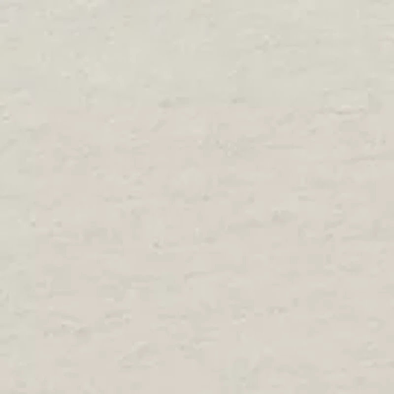 Men's Standing Black Lab Graphic T-Shirt