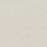 Men's Standing Black Lab Graphic T-Shirt