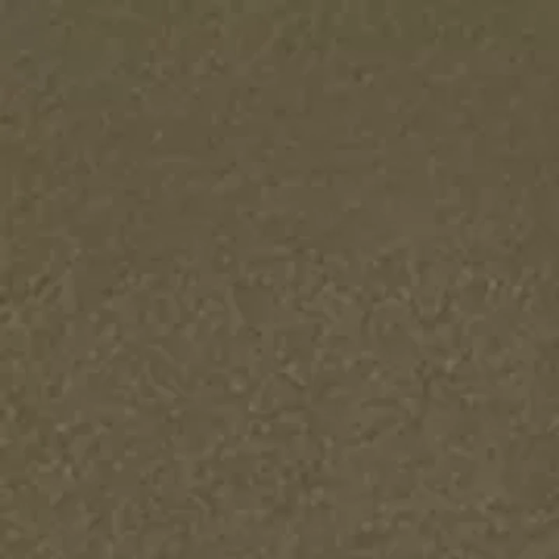 Men's Circle Mallard Long Sleeve Graphic T-Shirt