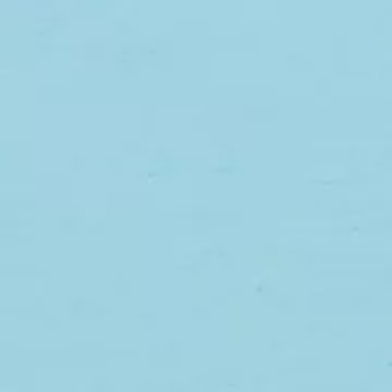 Men's Lab Flag Bearer Graphic T-Shirt