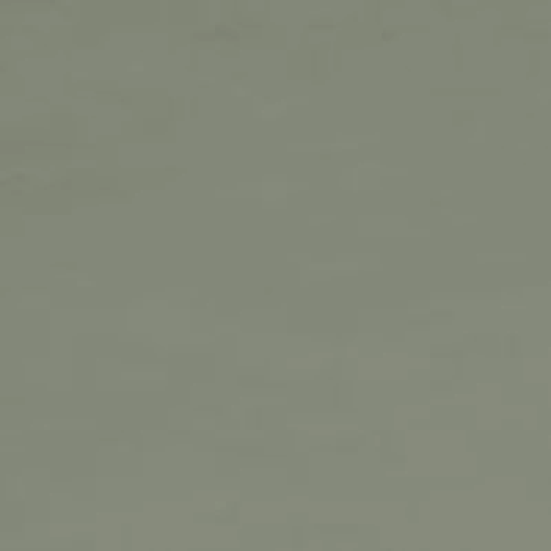 Big & Tall Short Sleeve Northern Shoveler Graphic T-Shirt