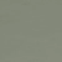 Big & Tall Short Sleeve Northern Shoveler Graphic T-Shirt