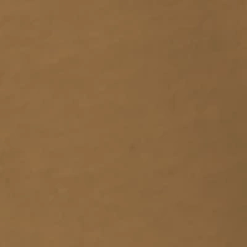 Short Sleeve Mallard Graphic T-Shirt