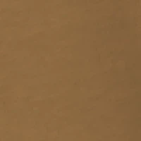 Short Sleeve Mallard Graphic T-Shirt