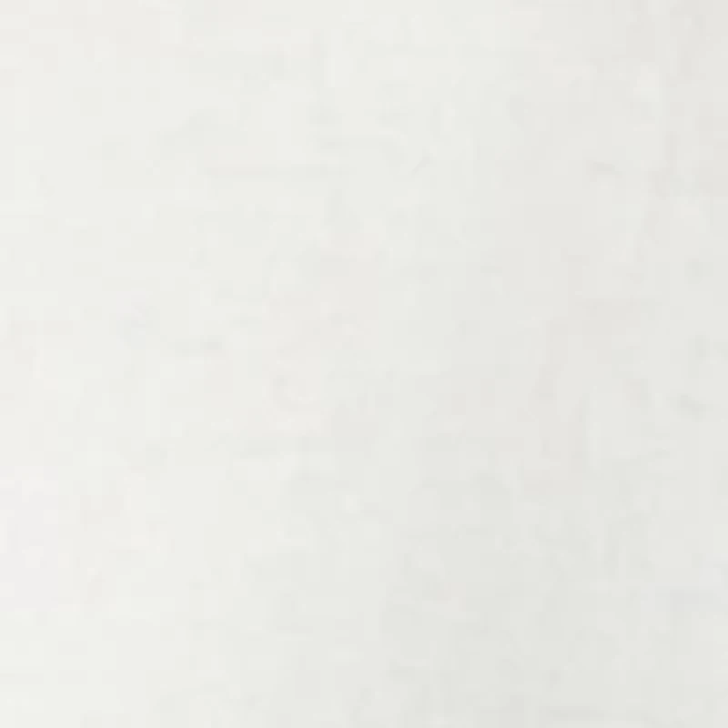 Men's Americana Yellow Lab Short Sleeve Graphic T-Shirt