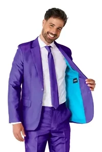 Solid Purple  2 Piece Suit + Tie