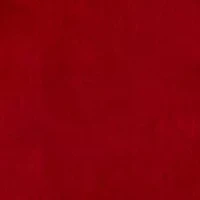 Red Velvet Sportcoat