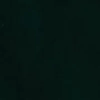 Green Velvet Satin Lapel Sport Coat