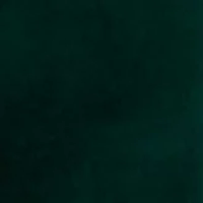 Big & Tall Green Velvet Blazer with Black Satin Shawl Collar