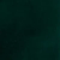 Green Velvet with Black Satin Shawl Collar Blazer