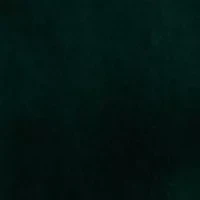 Men's Green Velvet Sport Coat with Black Satin Shawl Collar